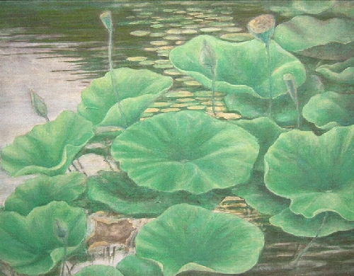 Lotus Leaves